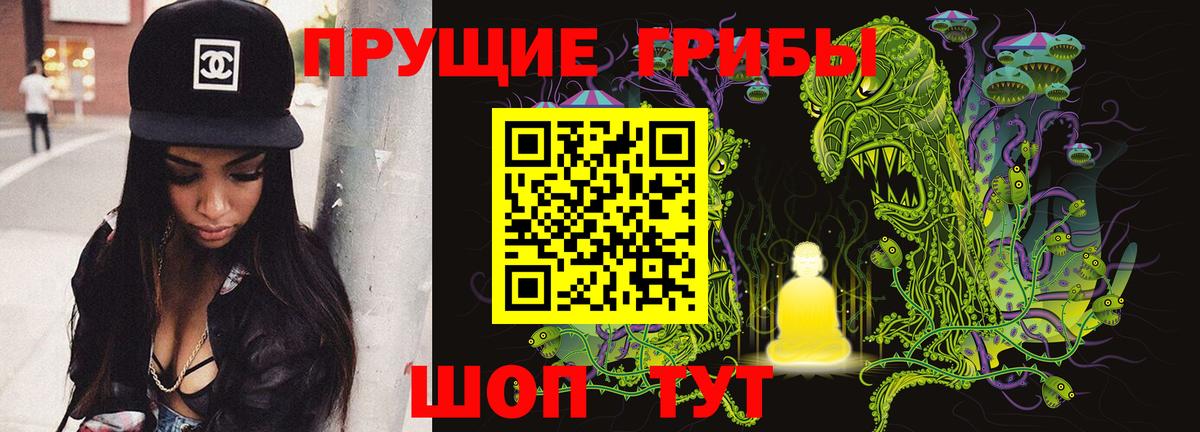 Псилоцибиновые грибы MAGIC MUSHROOMS Берёзовский