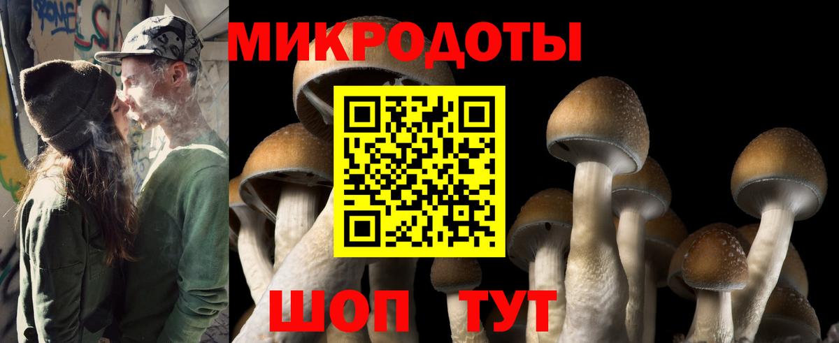 Галлюциногенные грибы Psilocybe  купить  цена  Берёзовский 